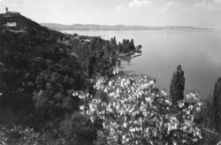 Ba - 581 Akinek a Balaton a szép Emlék:  Tihanyi félsziget látképe
