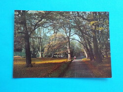 Képeslap (18) - Zemplén-hegység - Radványi park 1960-as évek - (Foto: Kunkovács László) - 100 ÉVES A