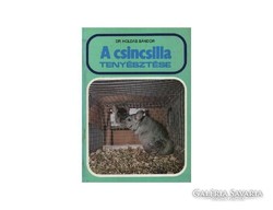 A csincsilla tenyésztése