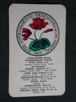 Kártyanaptár,Győr Sopron megyei idegenforgalmi hivatal,Kapuvár,Fertőd,Mosonmagyaróvár 1973,   (7)