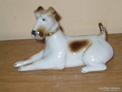 ZSOLNAY RITKA FEKVŐ FOXTERRIER  KUTYA.