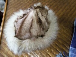 Egyedi ezüstróka kucsma