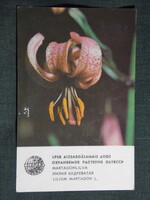 Kártyanaptár,Szovjetunió,Lettország,védett nővények,Martagonlilija liliom virág, 1981,   (7)