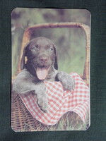 Card calendar, gift shop, animals series, dog, vizsla, 1995, (7)