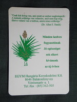 Kártyanaptár,EGYM kereskedelmi Kft. Balatonfenyves, 1995,   (7)