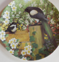 Coalport madaras tányér - szarka