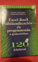 Lévayné lakner mária baksa-haskó gabriella excel 2003 spreadsheet management and programming in practice