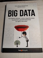 Viktor Mayer-Schönberger – Kenneth Cukier: Big Data