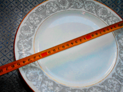 Rosenthal porcelán  tál-gyümölcskosaras minta