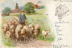 Képeslap: Juhok. 1901.