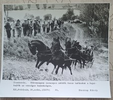 MTI fotó  , kép  Dombóvár  1980 Országos Fogathajtó bajnokság