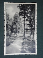 Képeslap,Zirc,park,erdei sétány látkép,részlet,Monostory kiadás Bp.1930-