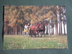 Képeslap, Abádszalók,sétakocsikázás,kettes fogat látkép,részlet, 1990-