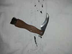 Gombaszedő zsebkés D