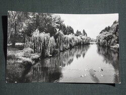 Képeslap,Békés,Kőrös part látkép,részlet,1971-