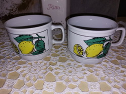 Zsolnay citromos porcelán bögre, citrom mintával, 2db