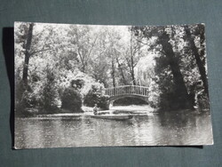Képeslap,Deszk,TBC szanatórium,kórház,park,csónakázótó látkép részlet,1960-
