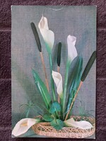 Orosz kála képeslap 1979. postatiszta