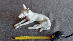 Wallendorfi porcelán német juhász kutya