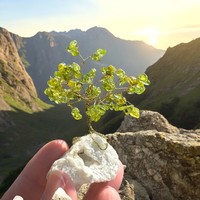 Mini Bonsai Drágakő Ékszerfa szerencsefa, életfa, pénzfa, kristályfa peridot kvarc kőből drágakő fa
