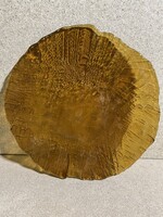 Old large yellow glass plate. 3520