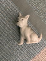 Pici Foreign foxi porcelán kutya