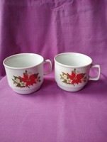 Zsolnay porcelán. Bögre 2 darab.