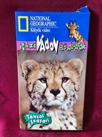 Igazi vadon élő állatok . Táncos szafari *Vhs kazetta