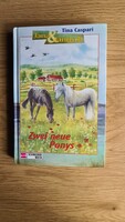 Német ifjúsági regény "Zwei neue Ponys" (Két új póni) címmel, tanulók számára