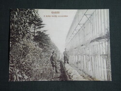 Képeslap,Gödöllő,reprodukció,Királyi kastély narancsház látkép,részlet, 1990-