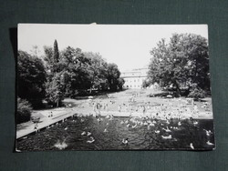 Képeslap,Gyula,Várfürdő,strand,medence látkép,részlet, 1971-
