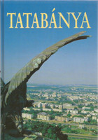 Tatabánya 2000-ben (Fotóalbum) -