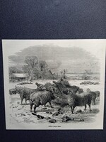 MN229/170.1874 Alföldi tanya télen  - juhok  -eredeti rotációs fametszet   1874