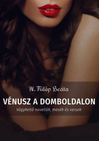 Vénusz a domboldalon - N. Fülöp Beáta