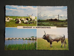 Képeslap,Hortobágy,mozaik,ménes,itató,gémeskút,gémeskút,szarvasmarha látkép,részlet, 1974-