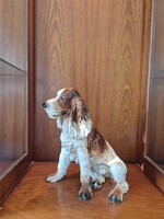Porcelain Springer Spaniel Dog Figurine (Cluj-Napoca, Romania)