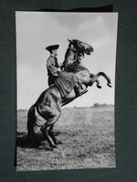 Képeslap,Hortobágy,Csikós látkép,részlet, 1970-