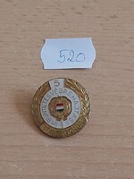 IM BÜNTETÉS VÉGREHAJTÁSI TÖRZSGÁRDA 5 ÉVES JELVÉNY 520.