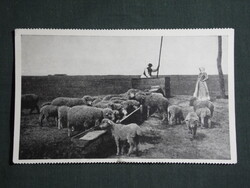 Képeslap,Hortobágy,birkacsorda,pásztor,itató,gémeskút látkép,részlet, 1940-