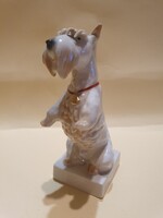 Volkstedt porcelán skót terrier kutya figura