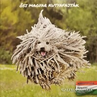 Ősi Magyar kutyafajták forgalmi sor 2021