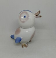Aquicum porcelán aquazur kacsa!