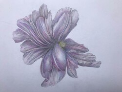 Lebegés - grafika