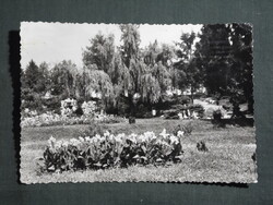 Képeslap,Kaposvár,park látkép,részlet, 1960-