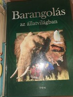 Barangolás a természetben (1)