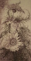 Hertay Mária (1932 - 2018) : Gerbera