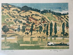 Mária B. Séday: Danube landscape - color lithograph