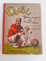 Csibi,Szenes Bela ifjusagi regenye
