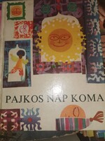 Pajkos nap koma (1)