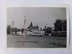 Régi fotó Budapest Ikarus buszok a Városligetben -  1960-as évek közepe